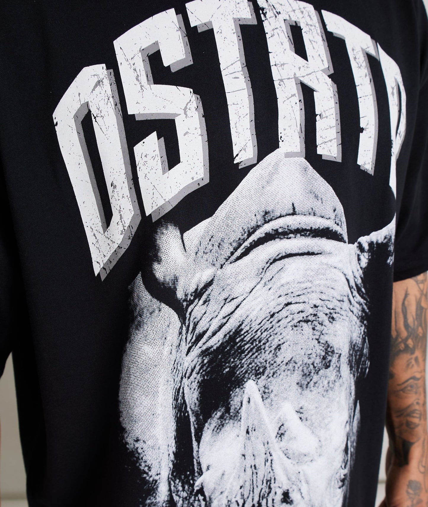 Rhino